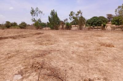 Terrain de 6751 m² vers Notto Diobass