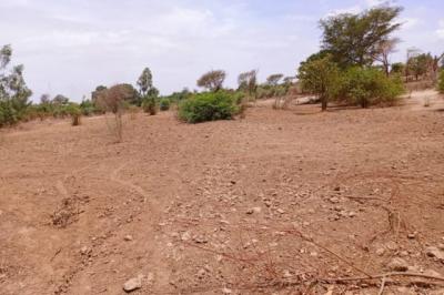 Terrain de 6840 vers Notto Diobass