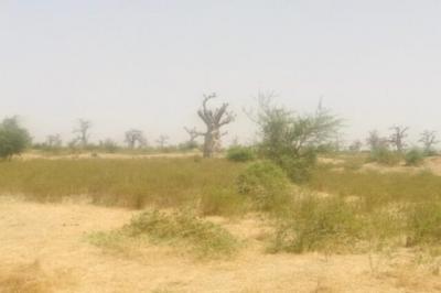 Terrain de 7 hectares vers Nguéniène