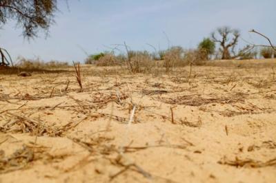 Terrain de 7,36 hectares vers Kébémer