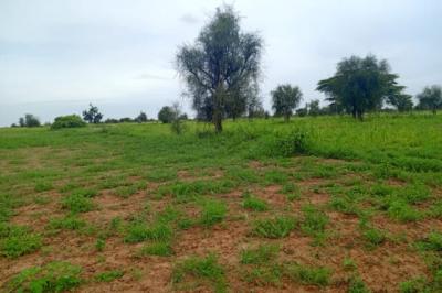 Terrain de 7089 m² vers Dalla Ngabou