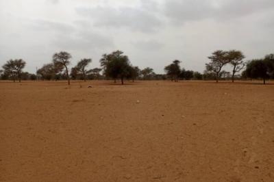Terrain de 7130 m² vers Touba Toul