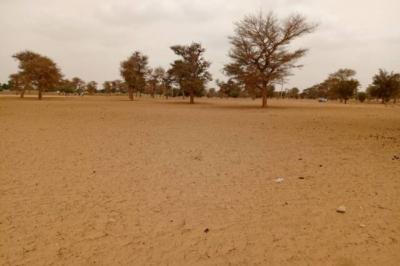 Terrain de 7130 m² vers Touba Toul