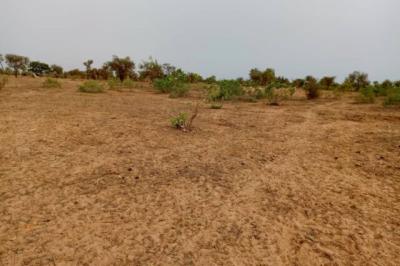 Terrain de 7500 m² vers Khombole