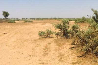 Terrain de 7643 m² vers Tassette