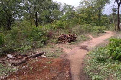 Terrain de 5 hectares vers Niamone