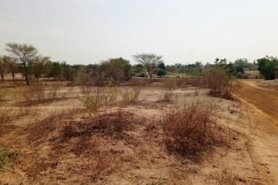 Terrain de 5 hectares vers Notto Diobass