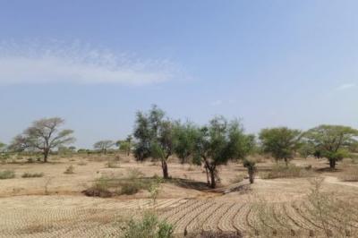 Terrain de 5 hectares vers Notto Diobass