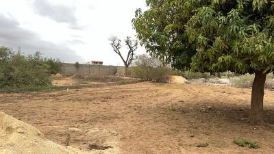 Terrains 450 mètres carrés à vendre à Saly Sé