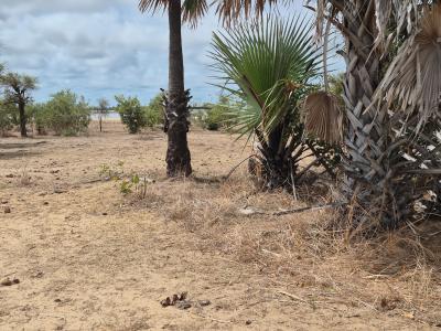 Terrain 600 mètres carrés à vendre à Ndayane S