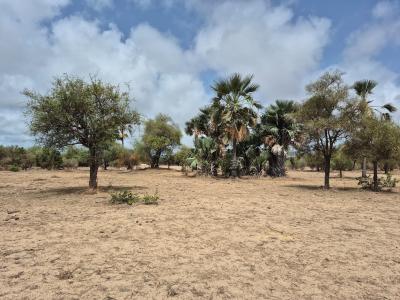 Terrain 600 mètres carrés à vendre à Ndayane S