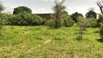 Terrain de 225 mètres carrés à vendre à Gandig