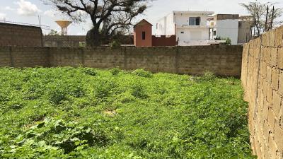 Terrain de 229 mètres carrés à vendre à Nguék