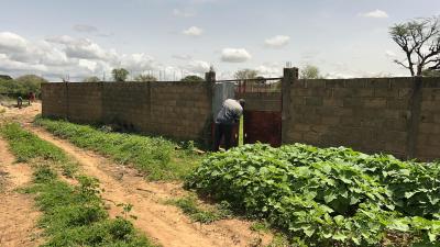 Terrain de 229 mètres carrés à vendre à Nguék