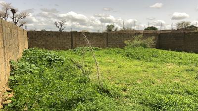 Terrain de 229 mètres carrés à vendre à Nguék