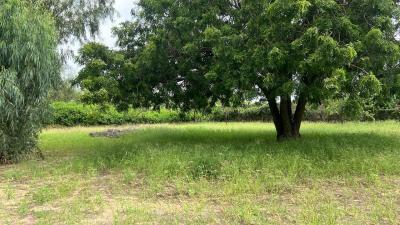 Terrain de 1000 mètres carrés à vendre à Waran