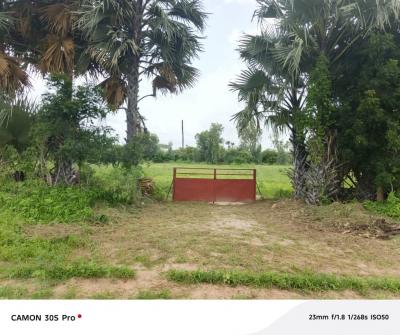 Ferme agricole à vendre à Nguéniène Ndofane 