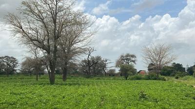 Terrain 300 mètres carrés à vendre à Malicound