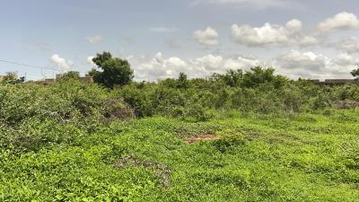Terrains de 225 mètres carrés à vendre à Gandi