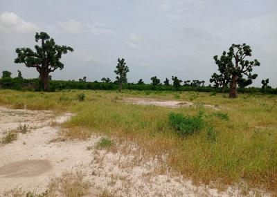 Terrains de 200 mètres carrés à vendre à Thiè