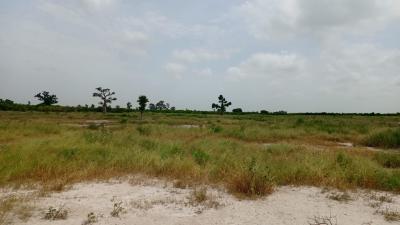 Terrains de 200 mètres carrés à vendre à Thiè