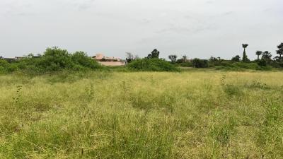 Terrains 300 mètres carrés à vendre à Saly Sé