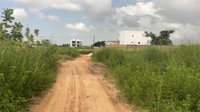 Terrains 300 mètres carrés à vendre à Saly Sé