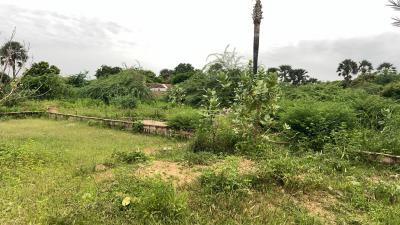 Terrain 1200 mètres carrés à vendre à Saly Sé