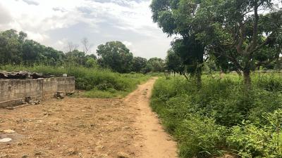 Terrain 600 mètres carrés à vendre à Saly Sén