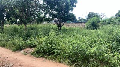 Terrains 300 mètres carrés à vendre à Saly Sé