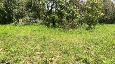 Terrains 225 mètres carrés à vendre à Gandigal