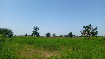 Terrain 1 hectare à vendre à Louly Sénégal