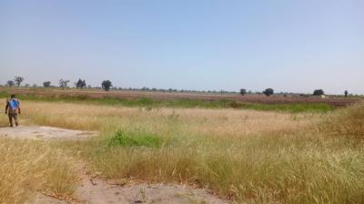 2 hectares et demi à vende à Louly Sénégal