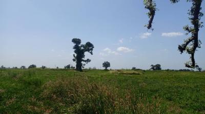 2 hectares et demi à vende à Louly Sénégal