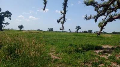 2 hectares et demi à vende à Louly Sénégal