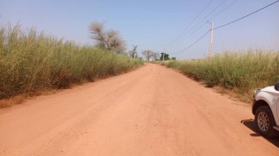Terrain de 1 hectare à vendre à Mbourokh Sénég