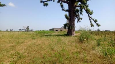 Terrain 3 hectares et demi à Mbourokh Sn
