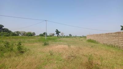 Terrain 3 hectares et demi à Mbourokh Sn