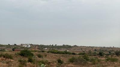 Terrain 300 mètres carrés à vendre à Guéréo 