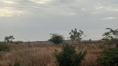 Terrain 300 mètres carrés à vendre à Guéréo 