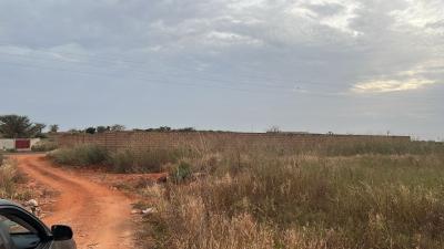 Terrains 300 mètres carrés à vendre à Guéréo