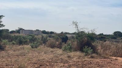 Terrain de 1000 mètres carrés à vendre à Ngué