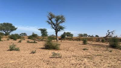 Terrain 300 mètres carrés à vendre à Malicound