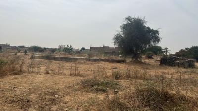 Terrain 250 mètres carrés à vendre à Gandigal 