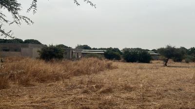 Terrain 225 mètres carrés à vendre à Ndiorokh 
