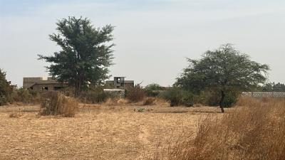 Terrain 225 mètres carrés à vendre à Ndiorokh 