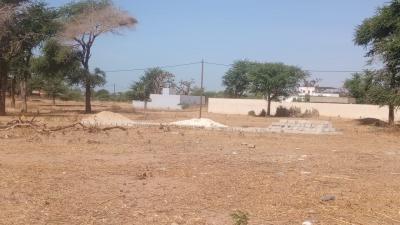 Terrain 300 mètres carrés à vendre à Nianing S