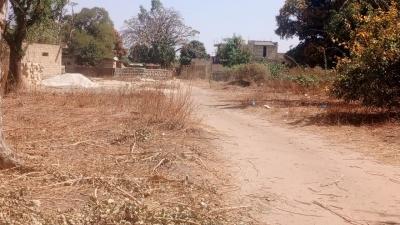 Terrain 300 mètres carrés à vendre à Nianing S