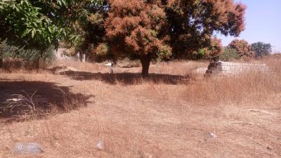 Terrain 300 mètres carrés à vendre à Nianing S