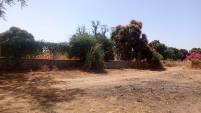 Terrain 8000 mètres carrés à vendre à warang S